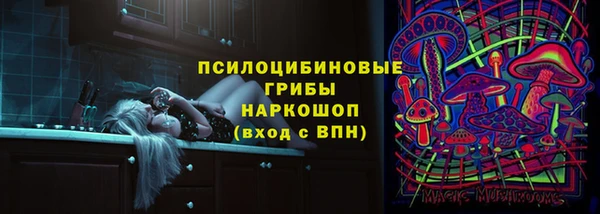 метадон Гусев
