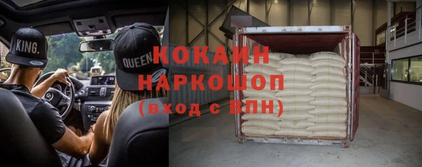ГАЛЛЮЦИНОГЕННЫЕ ГРИБЫ Гусь-Хрустальный