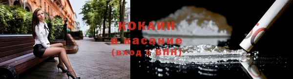 ГАЛЛЮЦИНОГЕННЫЕ ГРИБЫ Гусь-Хрустальный