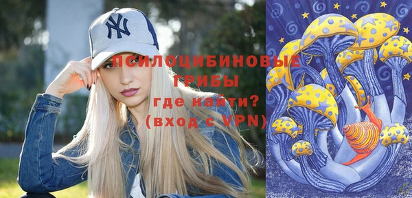 ALPHA-PVP Няндома