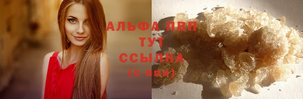 метадон Гусев