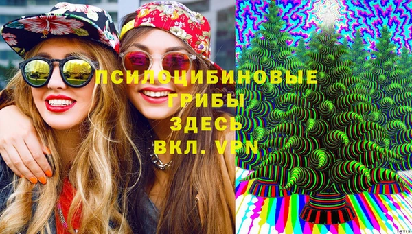 ГАЛЛЮЦИНОГЕННЫЕ ГРИБЫ Гусь-Хрустальный