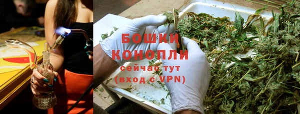 метадон Гусев
