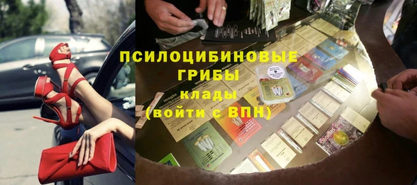 ГАЛЛЮЦИНОГЕННЫЕ ГРИБЫ Нязепетровск