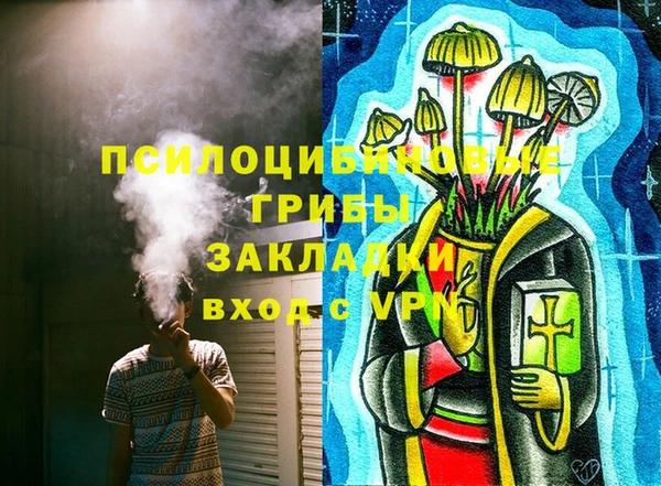 ГАЛЛЮЦИНОГЕННЫЕ ГРИБЫ Гусь-Хрустальный