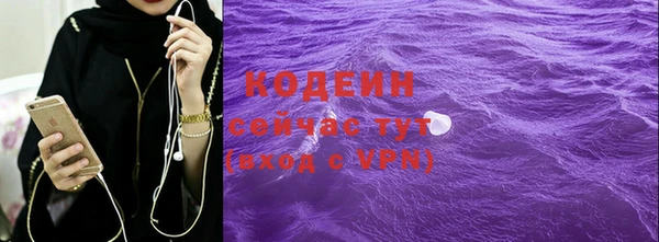 метадон Гусев