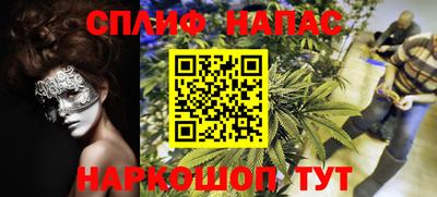 бошки Гай