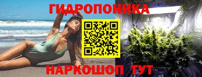 дурь Гатчина