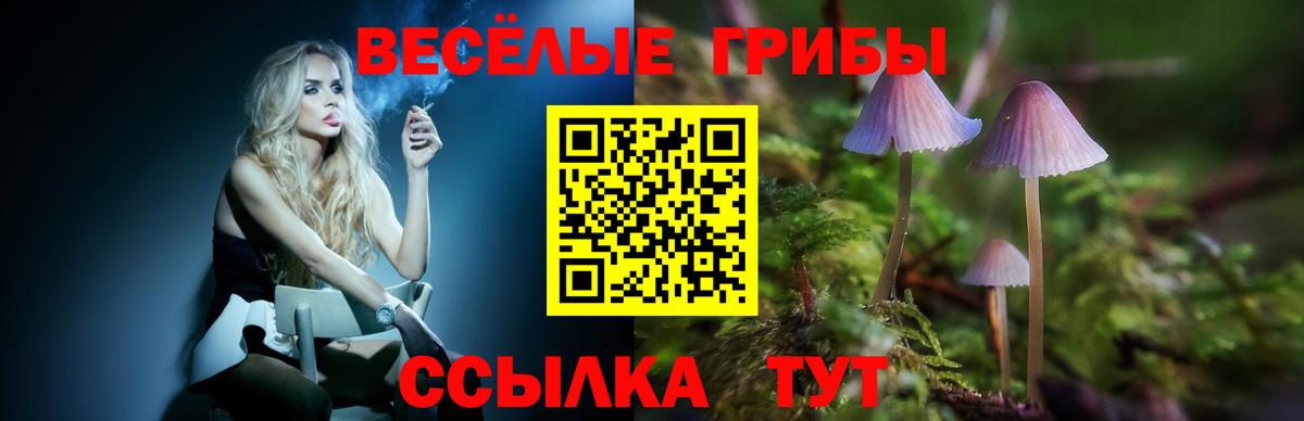 Псилоцибиновые грибы GOLDEN TEACHER Наро-Фоминск